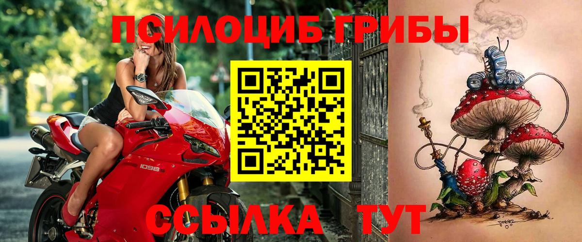 Псилоцибиновые грибы Magic Shrooms  закладка  Удомля  Вход с VPN 