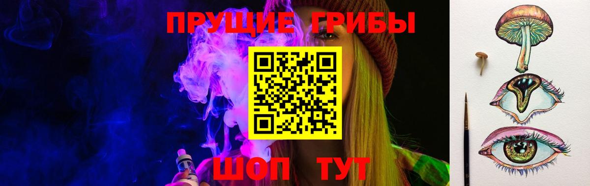 Галлюциногенные грибы Psilocybe Удомля